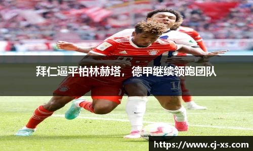 博鱼官方网站